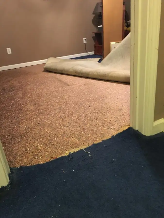 Carpet pad removal revealing water damage during Drying & Dehumidification in Ventnor City