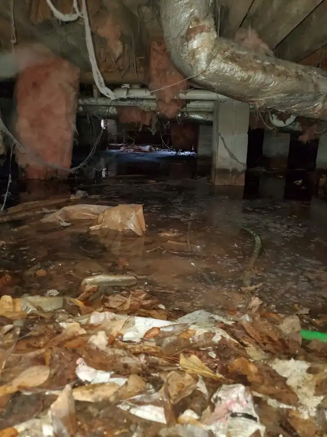 Crawl space flood assessment for Leak Detection & Repair in Ventnor City