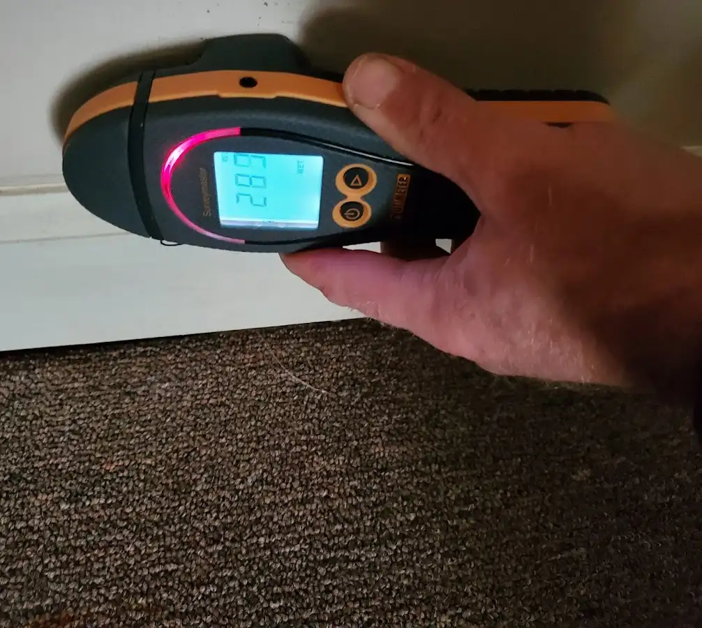 Moisture detection at baseboard during Sewage Cleanup & Sanitation in Ventnor City